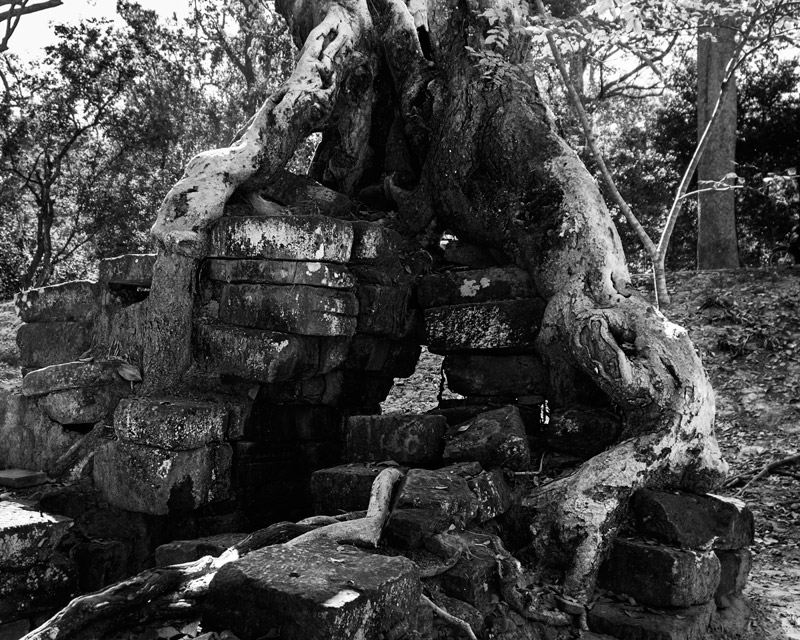 1209-AngkorWat-0431