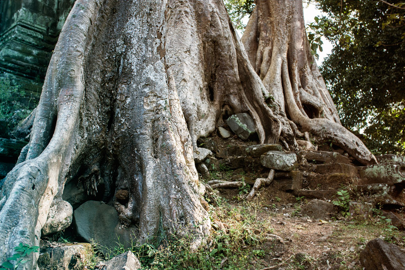 1209-AngkorWat-0353