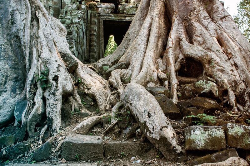 1209-AngkorWat-0354