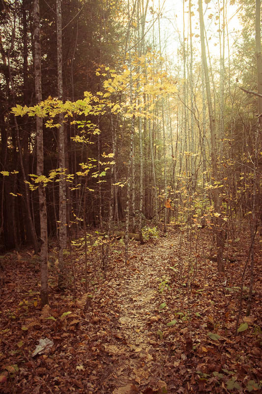 1101-redrivergorge-0010