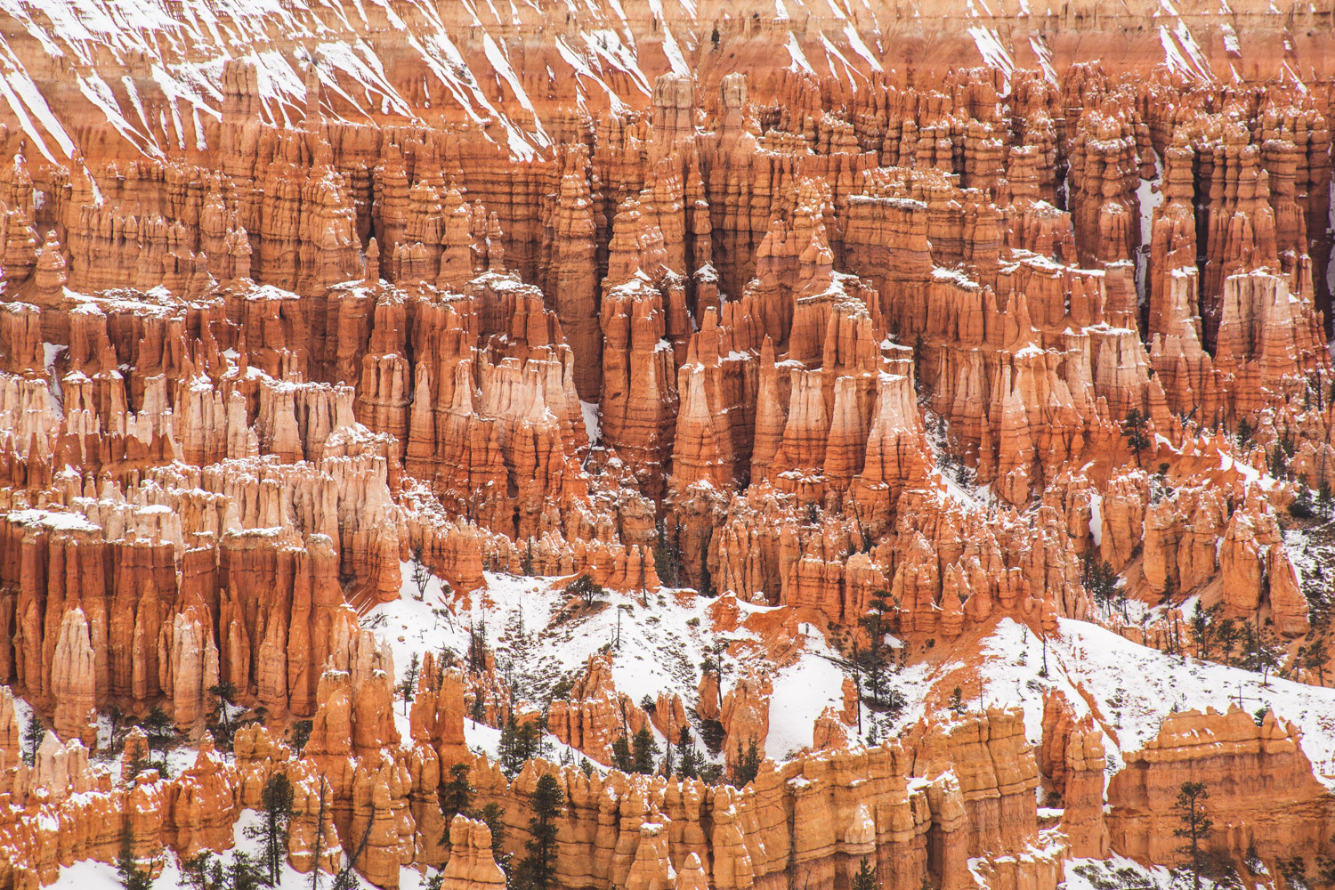 Bryce Canyon National Park in the snow